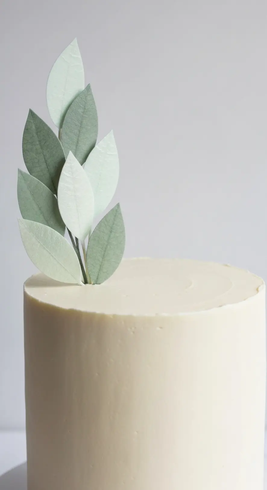 Blush Ombre Buttercream Layers